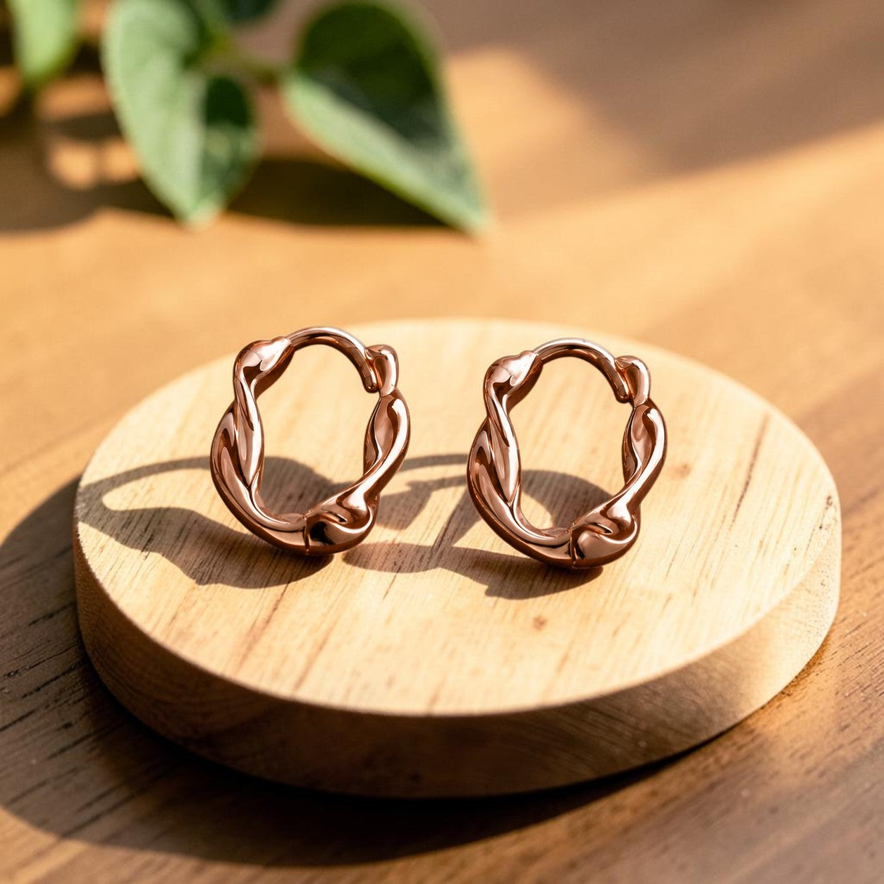 Earrings